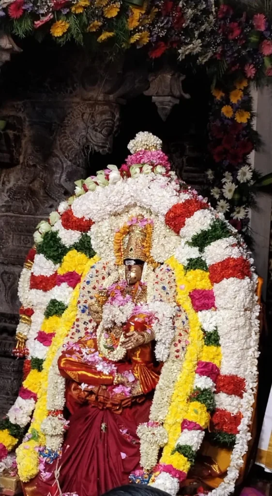 ஐப்பசி திருவிழா ! ஆயிரங்கால் மண்டபத்தில் சுவாமி நெல்லையப்பர்