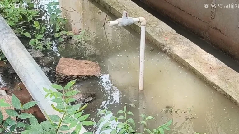 குடிநீர் குழாயை சூழ்ந்த பாதாளசாக்கடை கழிவு நீர், துர்நாற்றத்தால் மக்கள் அவதி !