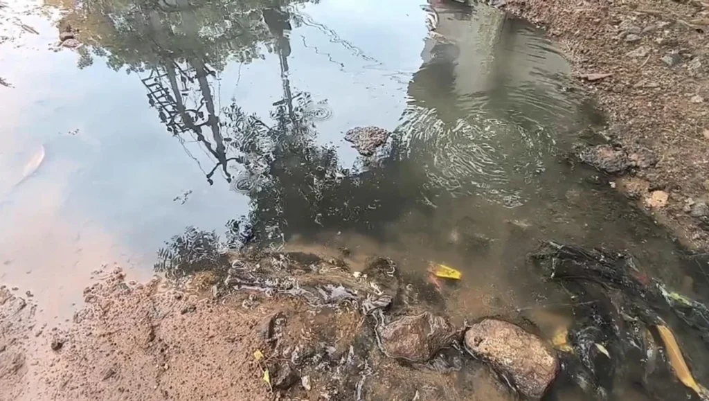 குடிநீர் குழாயை சூழ்ந்த பாதாளசாக்கடை கழிவு நீர், துர்நாற்றத்தால் மக்கள் அவதி !