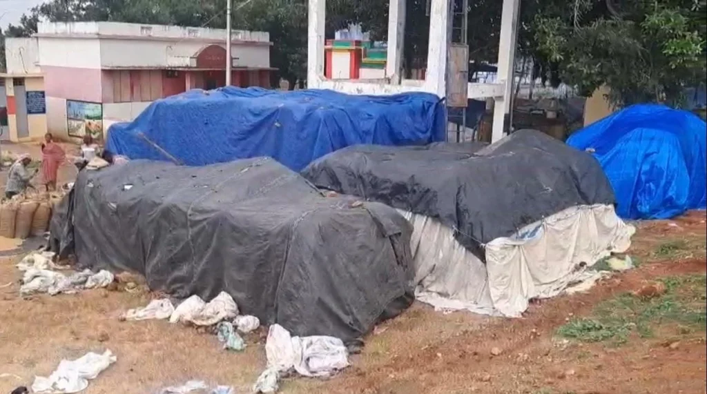 நெல்லை மாவட்டத்தில் நெல் கொள்முதல் தாமதம்