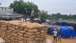 நெல்லை மாவட்டத்தில் நெல் கொள்முதல் தாமதம்