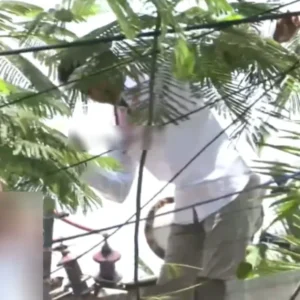 நீலாங்கரையில் சுவர் ஏறி மரக்கிளையை பிடித்துக்கொண்டு ரசிகர்களை சந்தித்த விஜய்,