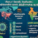 "Cicada" Covid Variant