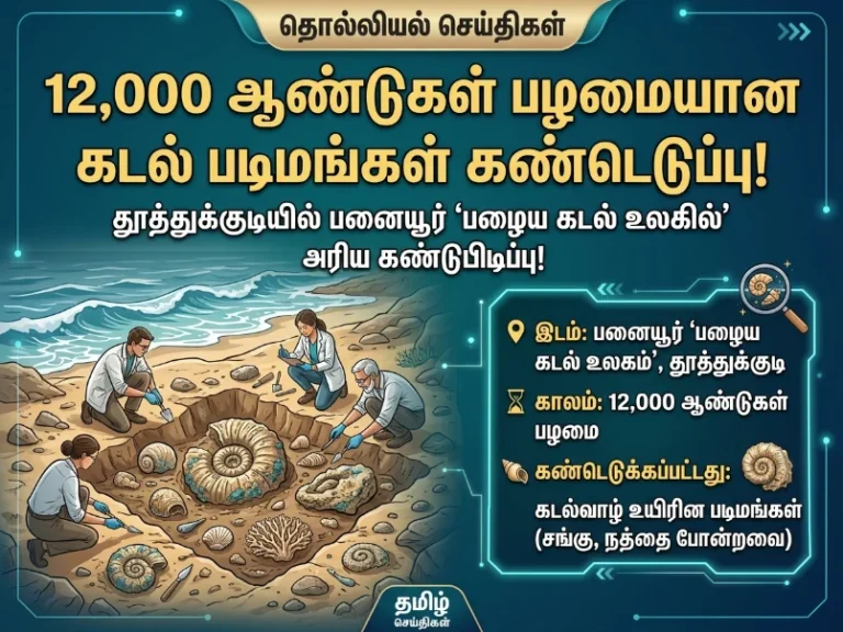 தூத்துக்குடி பனையூரில் ‘பழைய கடல் உலகம்’ : 12000 ஆண்டு பழமையான கடல்வாழ் உயிரின புதைபடிவங்கள் கண்டுபிடிப்பு