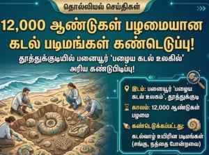 தூத்துக்குடி பனையூரில் ‘பழைய கடல் உலகம்’ : 12000 ஆண்டு பழமையான கடல்வாழ் உயிரின புதைபடிவங்கள் கண்டுபிடிப்பு