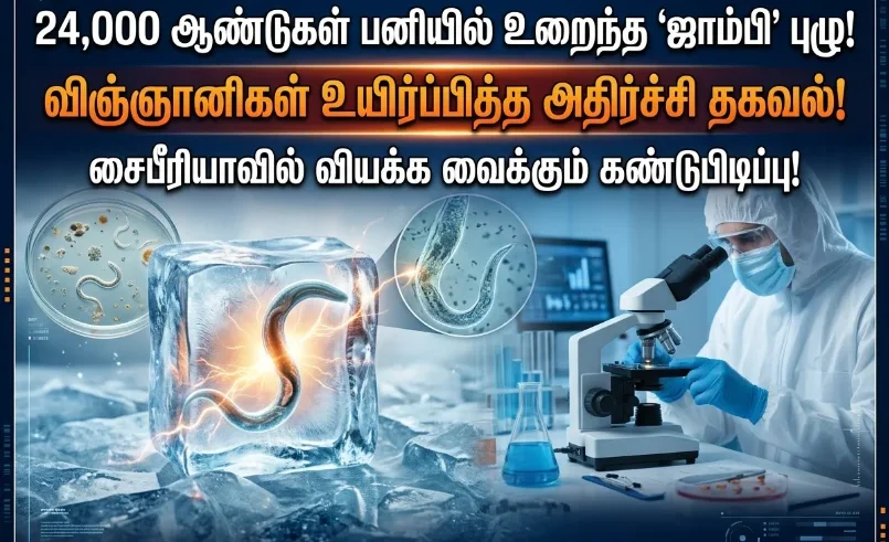 Scientists revive a 24,000-year-old “zombie worm” frozen in Siberian permafrost, marking a shocking breakthrough in ancient life research