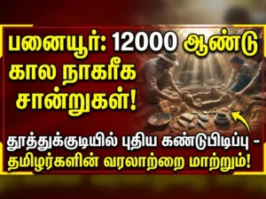 12,000-year-old civilization evidence discovered in Panaiyur, Thoothukudi – A breakthrough finding that could redefine ancient Tamil history