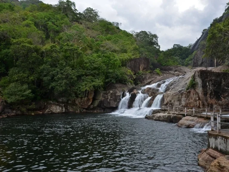 மேற்கு தொடர்ச்சி மலையில் மழை குறைந்தது.. மணிமுத்தாறு அருவியில் மீண்டும் அனுமதி.. குற்றாலத்தில் சுற்றுலா பயணிகள் கூட்டம் அதிகரிப்பு 5 image 206