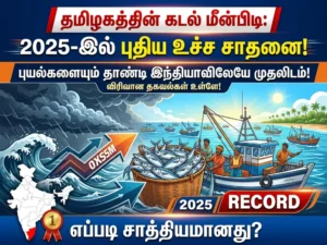 Tamil Nadu tops India in marine fish production with 6.85 lakh tonnes despite cyclones, showcasing resilient fisheries sector growth and coastal economy strength