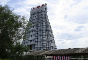 ஸ்ரீவில்லிபுத்தூரில் ரூ.88 லட்ச புதிய தேர் வெள்ளோட்டம்.. பக்தர்கள் பரவசம்!