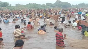 மதுரை மேலூரில் சமத்துவ மீன்பிடித் திருவிழா.. கள்ளந்திரி கண்மாயில் நாட்டு மீன்களை பிடிக்க போட்டிப்போட்ட மக்கள்