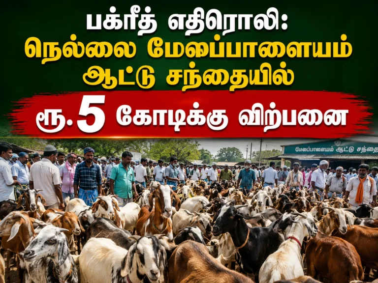 பக்ரீத் எதிரொலி: நெல்லை மேலப்பாளையம் ஆட்டு சந்தையில் ரூ.5 கோடிக்கு விற்பனை 12 Bakrid 2026 rush boosts sheep sales at Melapalayam Goat Market in Tirunelveli, with traders recording nearly Rs.5 crore business ahead of the festival celebrations in Tamil Nadu.
