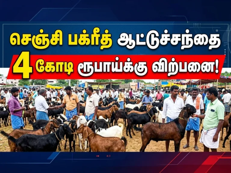 செஞ்சியில் பக்ரீத் பண்டிகையை முன்னிட்டு ஆடுகள் விற்பனை அமோகம்- 4 கோடிகள் வரை விற்பனை. 13 Bakrid Goat Sales Boom in Gingee Crosses Rs 4 Crore Mark