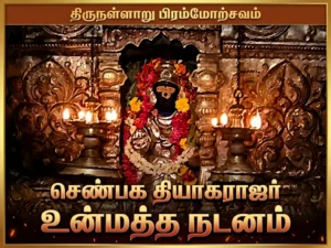 Thirunallar Brahmotsavam: Senbhaga Thyagarajar’s Unmatha Dance
