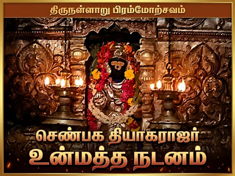 திருநள்ளாறு பிரம்மோற்சவம்: செண்பக தியாகராஜர் உன்மத்த நடனம் 4 Thirunallar Brahmotsavam: Senbhaga Thyagarajar’s Unmatha Dance