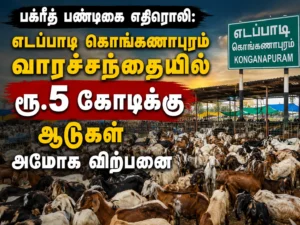 Bakrid Festival Rush: Goat Sales Cross Rs.5 Crore at Edappadi Konganapuram Weekly Market Amid Massive Crowd
