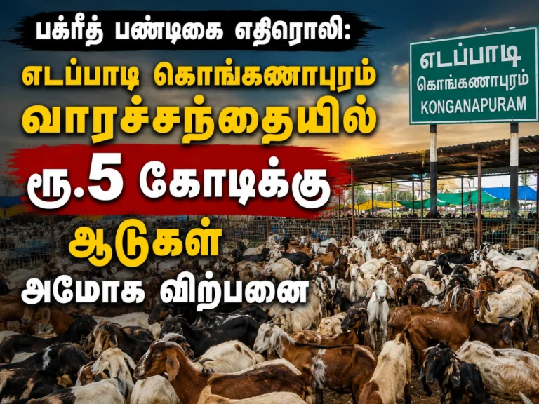 பக்ரீத் பண்டிகை எதிரொலி: எடப்பாடி கொங்கணாபுரம் வாரச்சந்தையில் ரூ.5 கோடிக்கு ஆடுகள் அமோக விற்பனை 13 Bakrid Festival Rush: Goat Sales Cross Rs.5 Crore at Edappadi Konganapuram Weekly Market Amid Massive Crowd