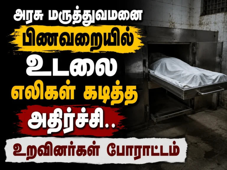 அரசு மருத்துவமனை பிணவறையில் உடலை எலிகள் கடித்த அதிர்ச்சி.. உறவினர்கள் போராட்டம் 14 Shock in Government Hospital Mortuary as Rats Bite Dead Body, Relatives Stage Protest