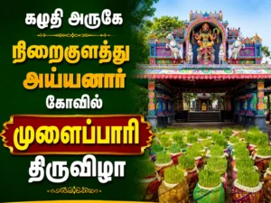 Thrilling Vadamadu Manjuvirattu Held During Mulaipari Festival at Niraikulam Ayyanar Temple Near Kamuthi