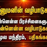 பிரார்த்தனைகளை நிறைவேற்றும் மாருதி: ஆஞ்சநேயர் வழிபாட்டு முறைகளும் பலன்களும் 1 Hanuman Worship Guide: Powerful Mantras, Prayers and Remedies for Life Problems, Success and Protection
