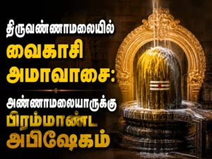 திருவண்ணாமலையில் வைகாசி அமாவாசை: அண்ணாமலையாருக்கு பிரம்மாண்ட அபிஷேகம்