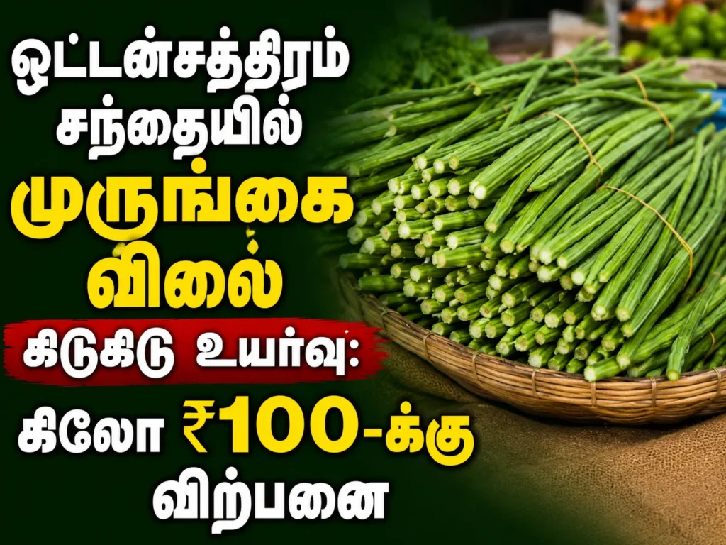 ஒட்டன்சத்திரம் சந்தையில் முருங்கை விலை கிடுகிடு உயர்வு: கிலோ ₹100-க்கு விற்பனை 1 Drumstick Prices Surge at Oddanchatram Market as Rates Hit ₹100 Per Kg Amid Supply Concerns