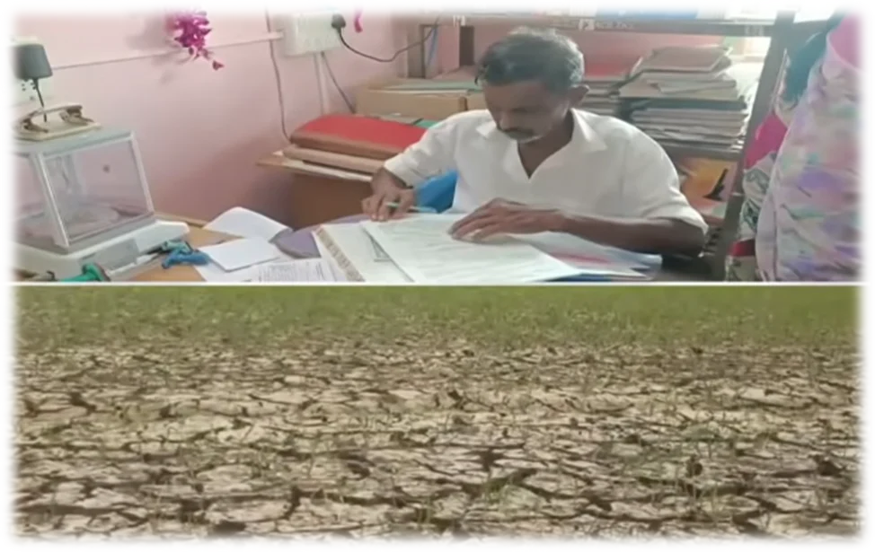 கூட்டுறவு வங்கிகளில் விவசாயிகளின் பயிர்க்கடன் 100 % தள்ளுபடி வரம்பை 75 ஆயிரம் ரூபாயாக உயர்த்தி முதல்வர் விஜய் உத்தரவு 1 Tamil Nadu CM Vijay Raises Cooperative Bank Crop Loan Waiver Limit to ₹75,000 for Farmers
