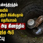 ஒட்டன்சத்திரத்தில் தலையில் பாத்திரம் சிக்கியதால் வழி தெரியாமல் 90 அடி கிணற்றில் விழுந்த ஆடு மீட்பு 4 Goat Rescued After Falling Into 90-Foot Well in Ottanchathiram With Pot Stuck on Its Head
