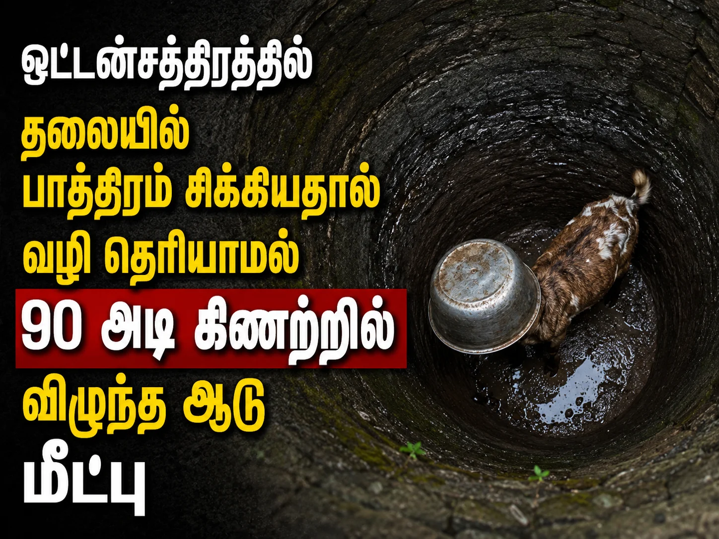 Goat Rescued After Falling Into 90-Foot Well in Ottanchathiram With Pot Stuck on Its Head