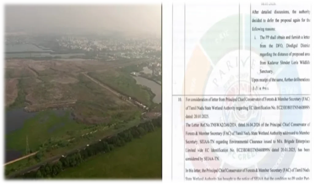Perumbakkam Wetland Encroachment: TVK Government Cancels DMK-Approved ₹2,000 Crore Brigade Group Project Over Environmental Concerns