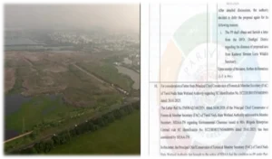 Perumbakkam Wetland Encroachment: TVK Government Cancels DMK-Approved ₹2,000 Crore Brigade Group Project Over Environmental Concerns