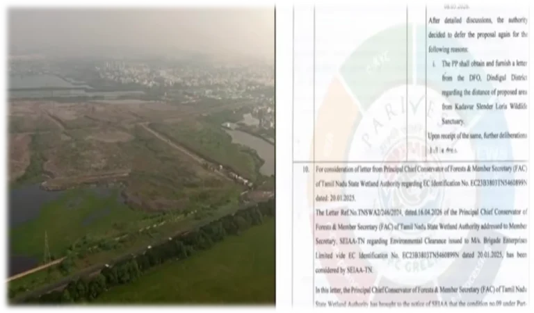 Perumbakkam Wetland Encroachment: TVK Government Cancels DMK-Approved ₹2,000 Crore Brigade Group Project Over Environmental Concerns