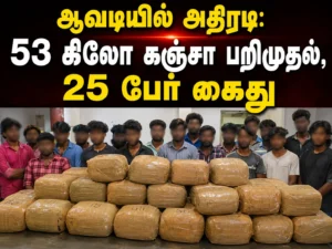 Avadi Police Seize 53 Kg of Ganja, Arrest 25 in Major Anti-Narcotics Crackdown