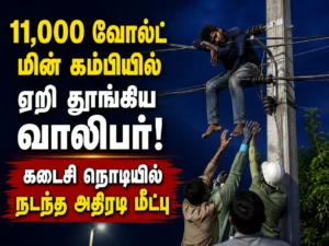 Young Man Climbs 11,000-Volt High-Tension Power Line and Falls Asleep, Dramatic Last-Minute Rescue Stuns Onlookers