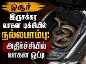 Shocking Discovery in Hosur: Cobra Found Inside a Two-Wheeler Storage Compartment, Rider Left Terrified