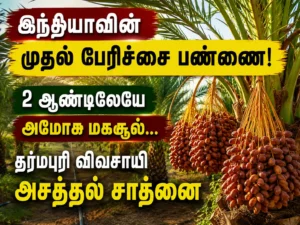 India's First Date Palm Farm Achieves Remarkable Harvest in Just Two Years – Dharmapuri Farmer's Inspiring Success Story